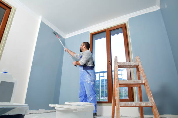 Best Comprehensive Air Testing for Mold Contaminants  in Mapleton, MN