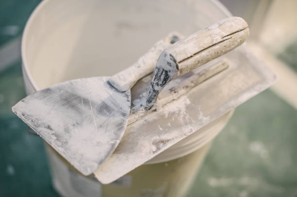 Best Commercial Mold Inspection  in Mapleton, MN