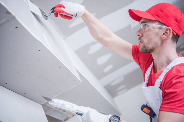 Trusted Mapleton, MN Mold Removal Experts